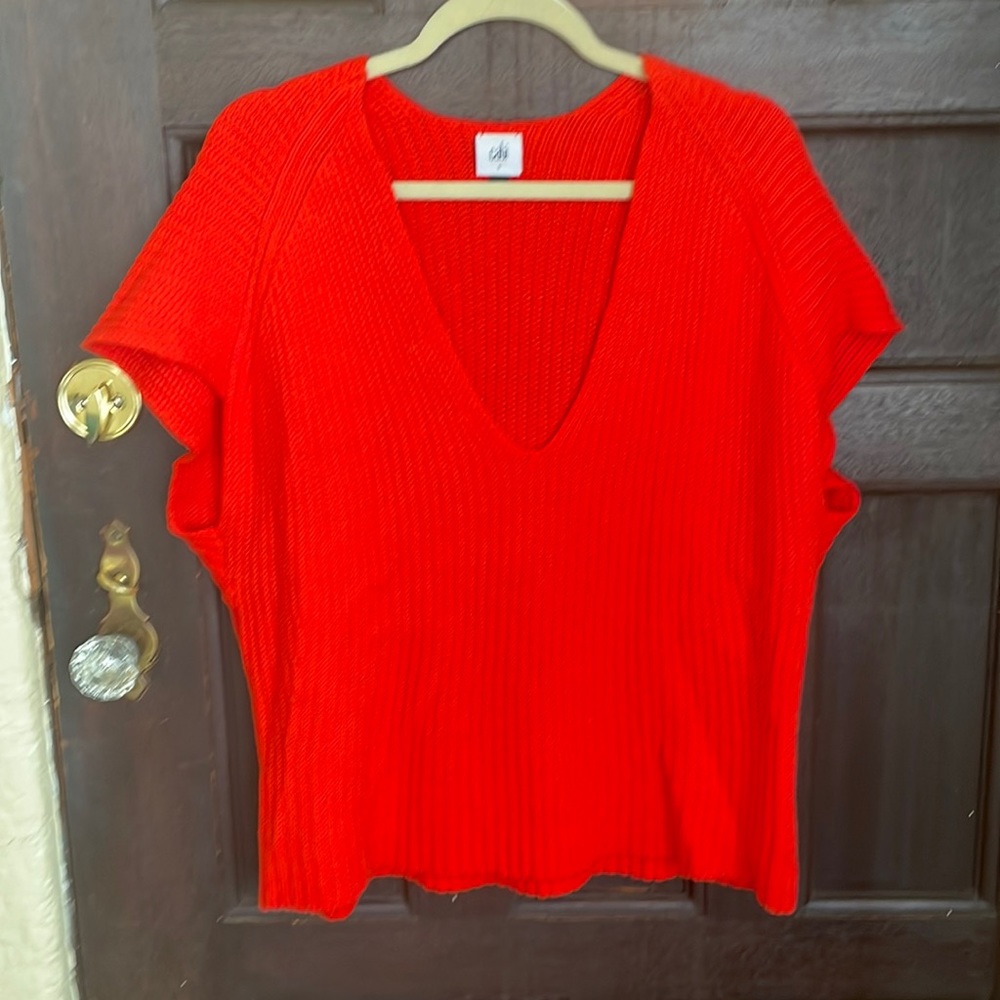 Cabi Sweater